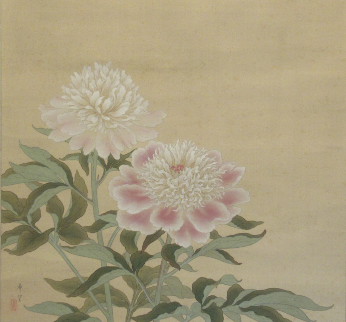 児玉希望の作品：芍薬